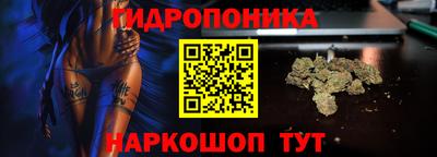 мяу мяу мука Лесосибирск